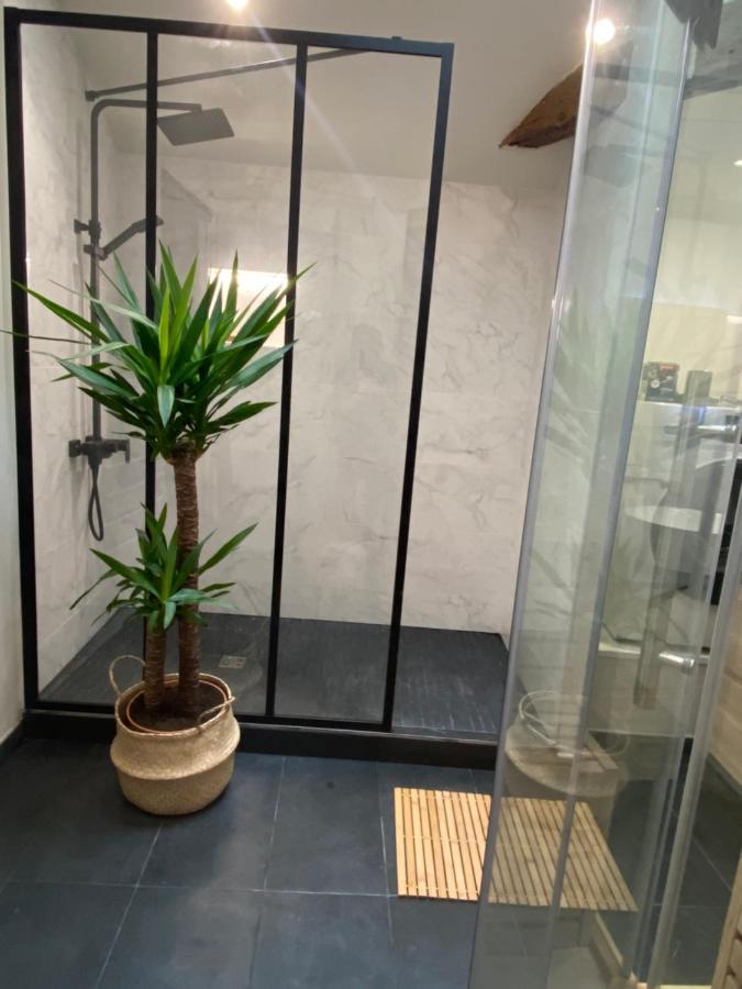Charmant Appartement Avec Spa Фонтене-льо-Конт Екстериор снимка